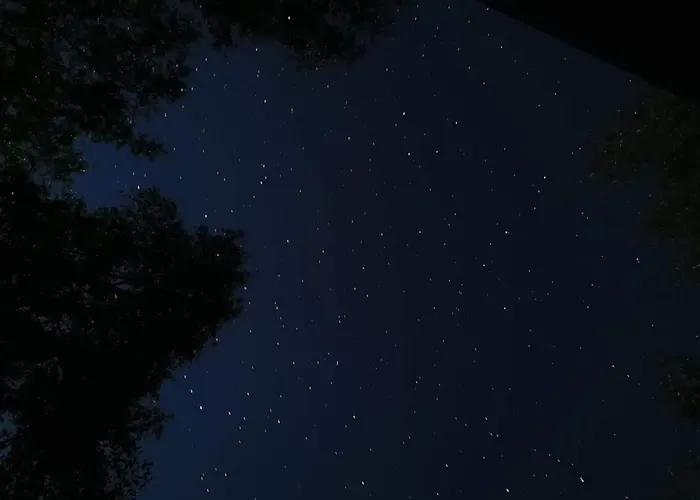 Tea Alpesi faház Novi Vinodolski