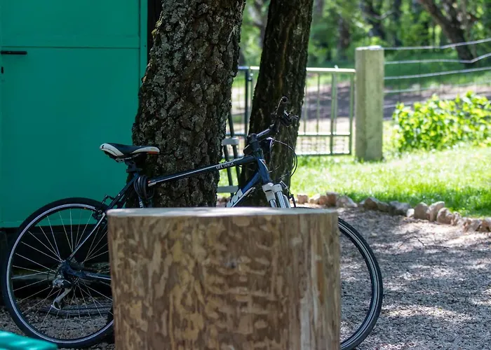 Tea * Novi Vinodolski