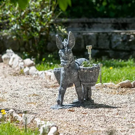 Tea Novi Vinodolski